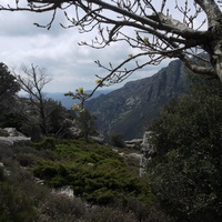 Photo de france - La randonnée du Mont Caroux